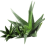 cosmetics-aloe-layer-2.png