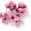 left-side-sakura.png